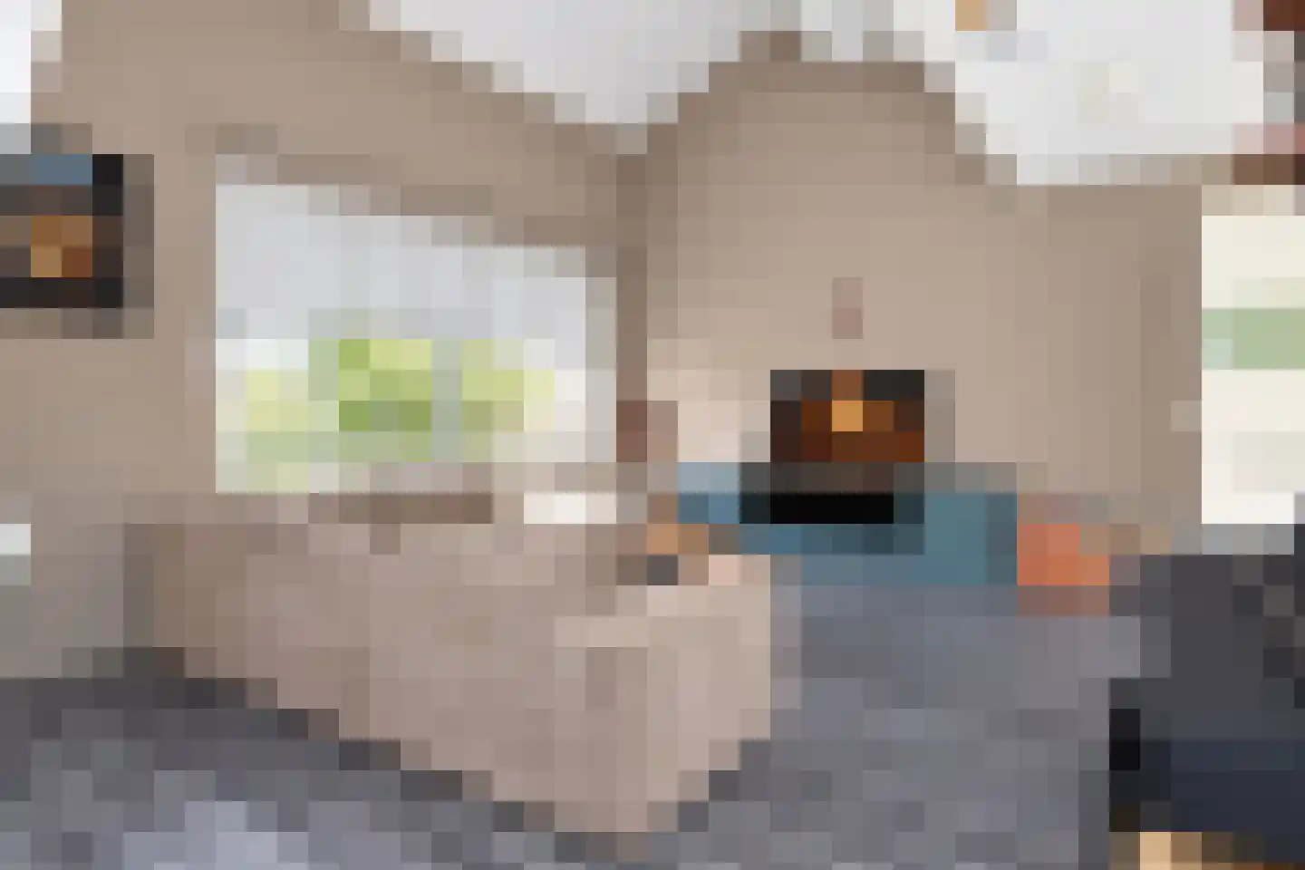 Streefkerkstraat 27 Zoetermeer thumbnail 12