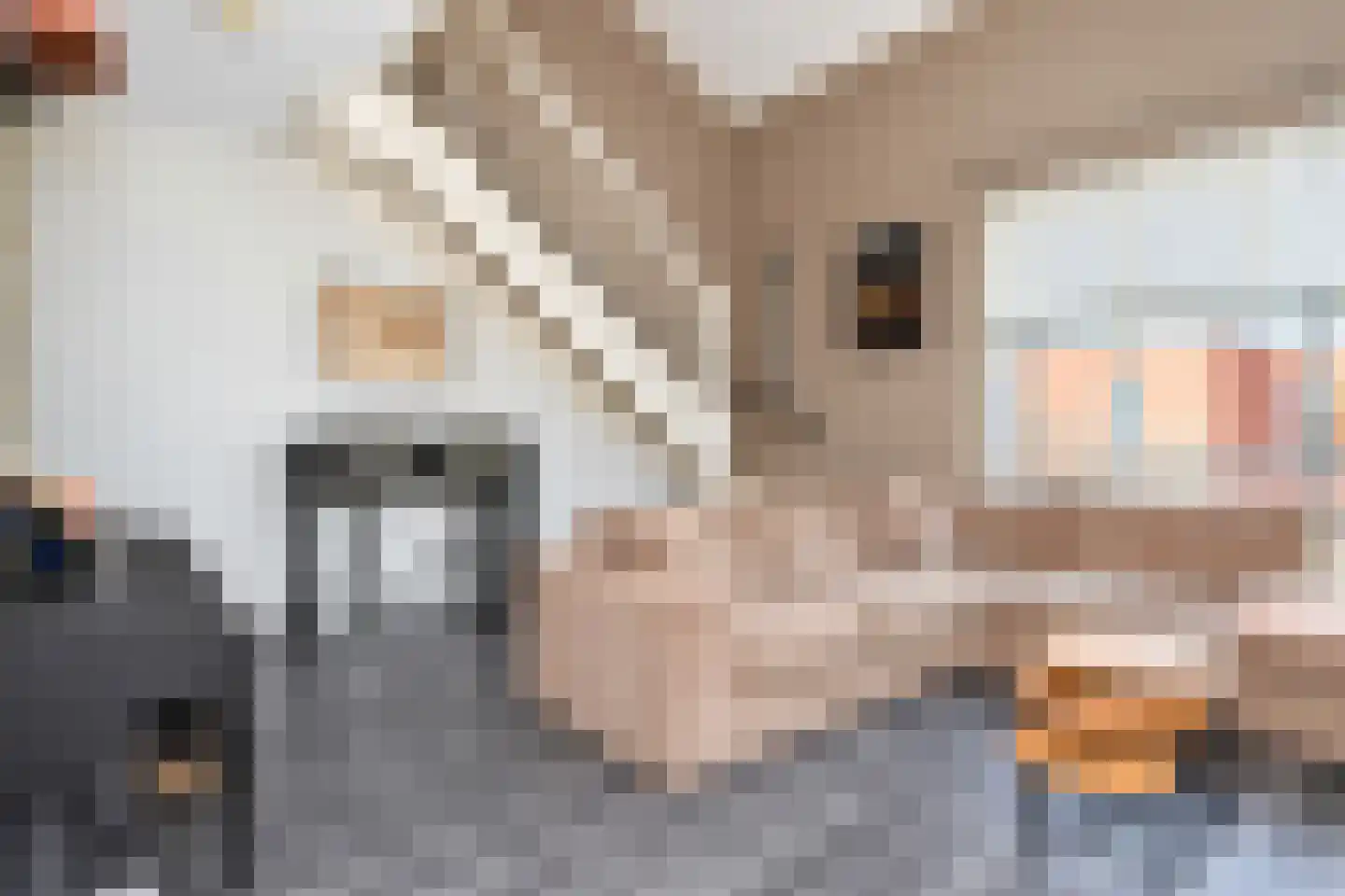 Streefkerkstraat 27 Zoetermeer thumbnail 14