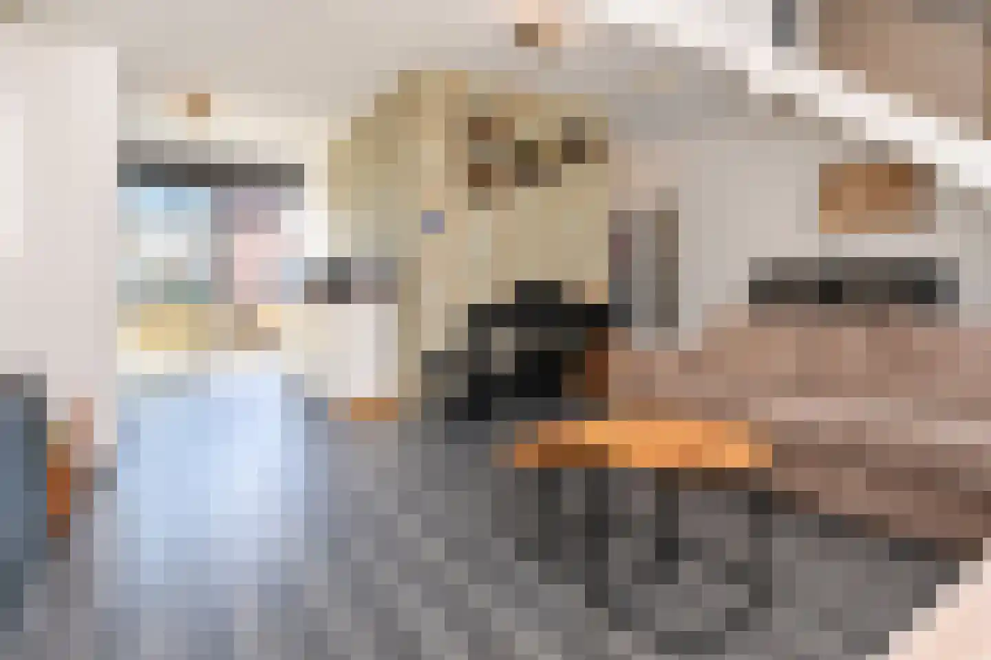 Streefkerkstraat 27 Zoetermeer thumbnail 15
