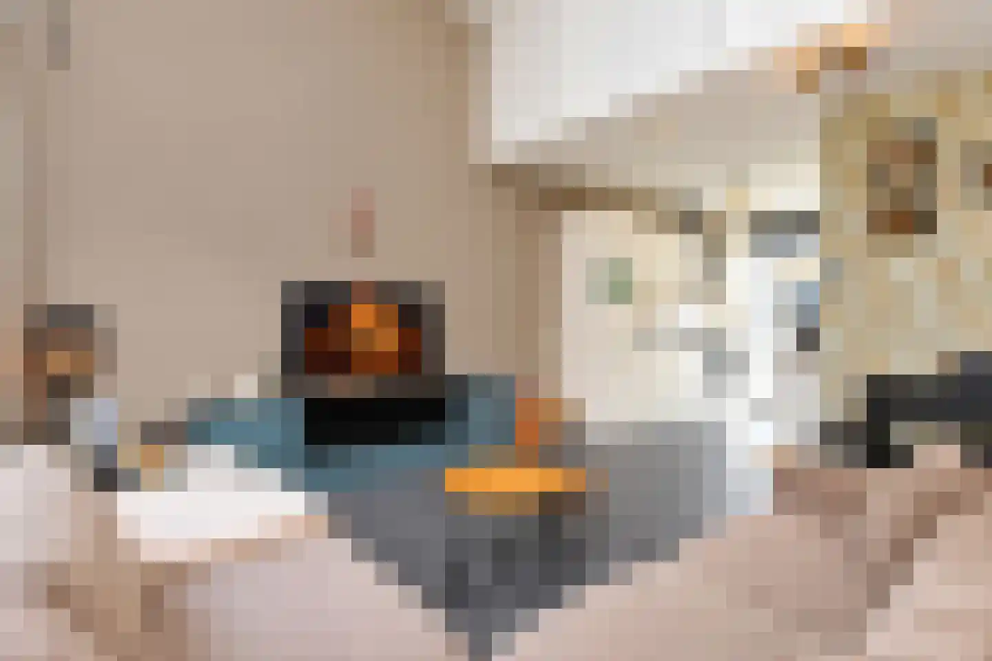 Streefkerkstraat 27 Zoetermeer thumbnail 16