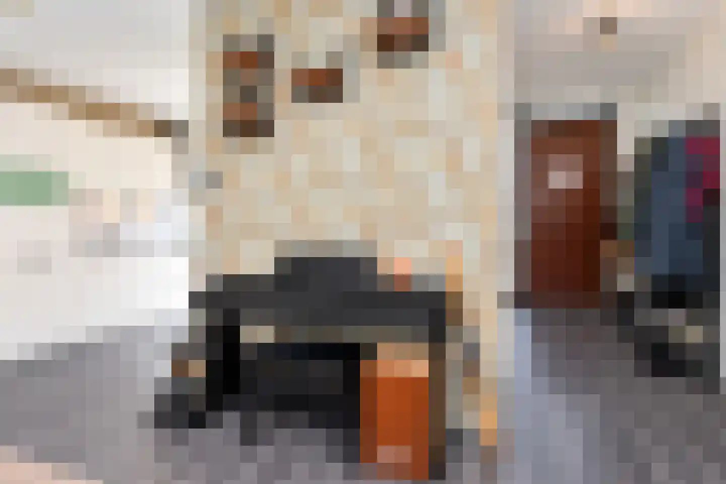 Streefkerkstraat 27 Zoetermeer thumbnail 17