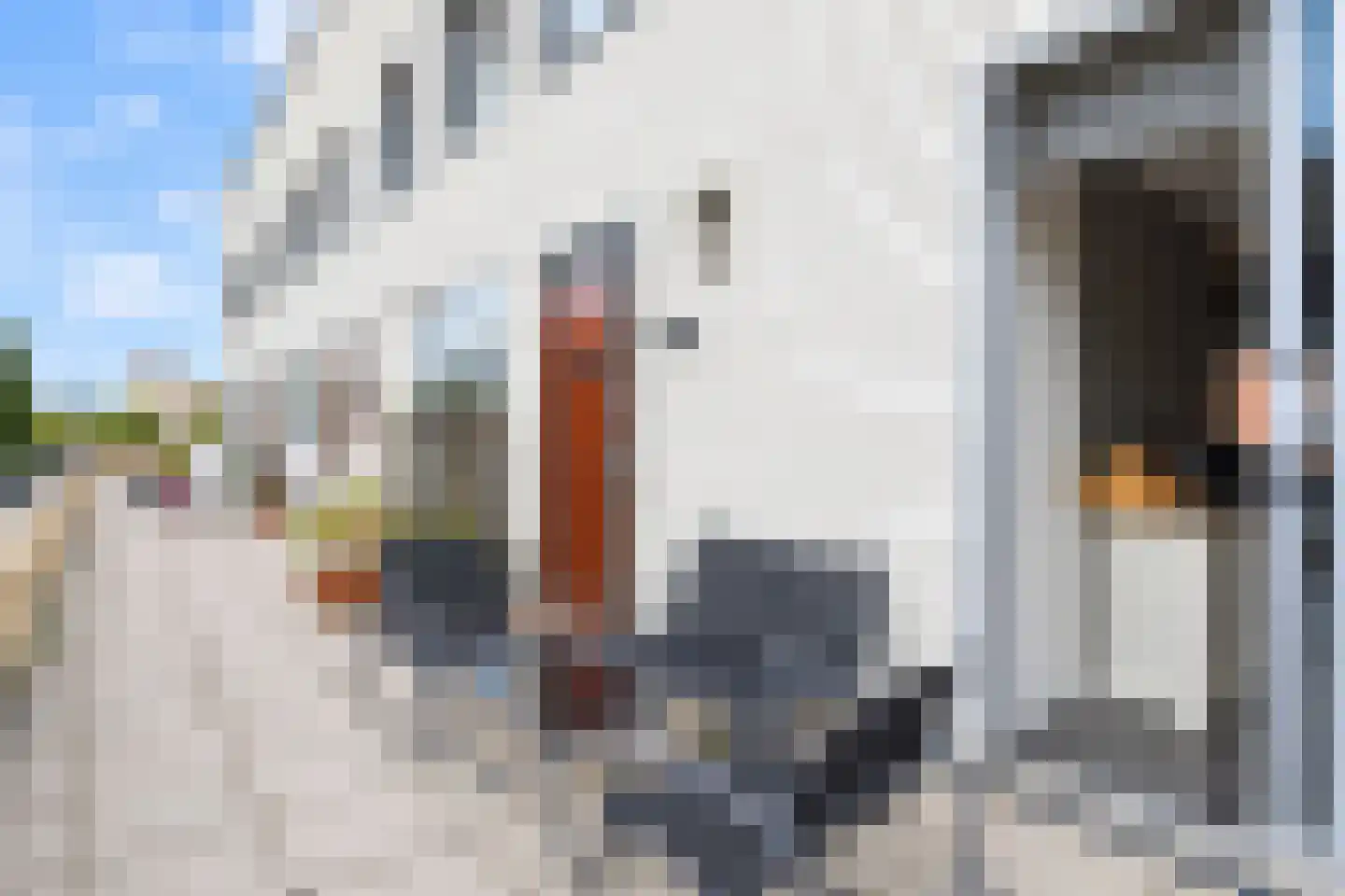 Streefkerkstraat 27 Zoetermeer thumbnail 20