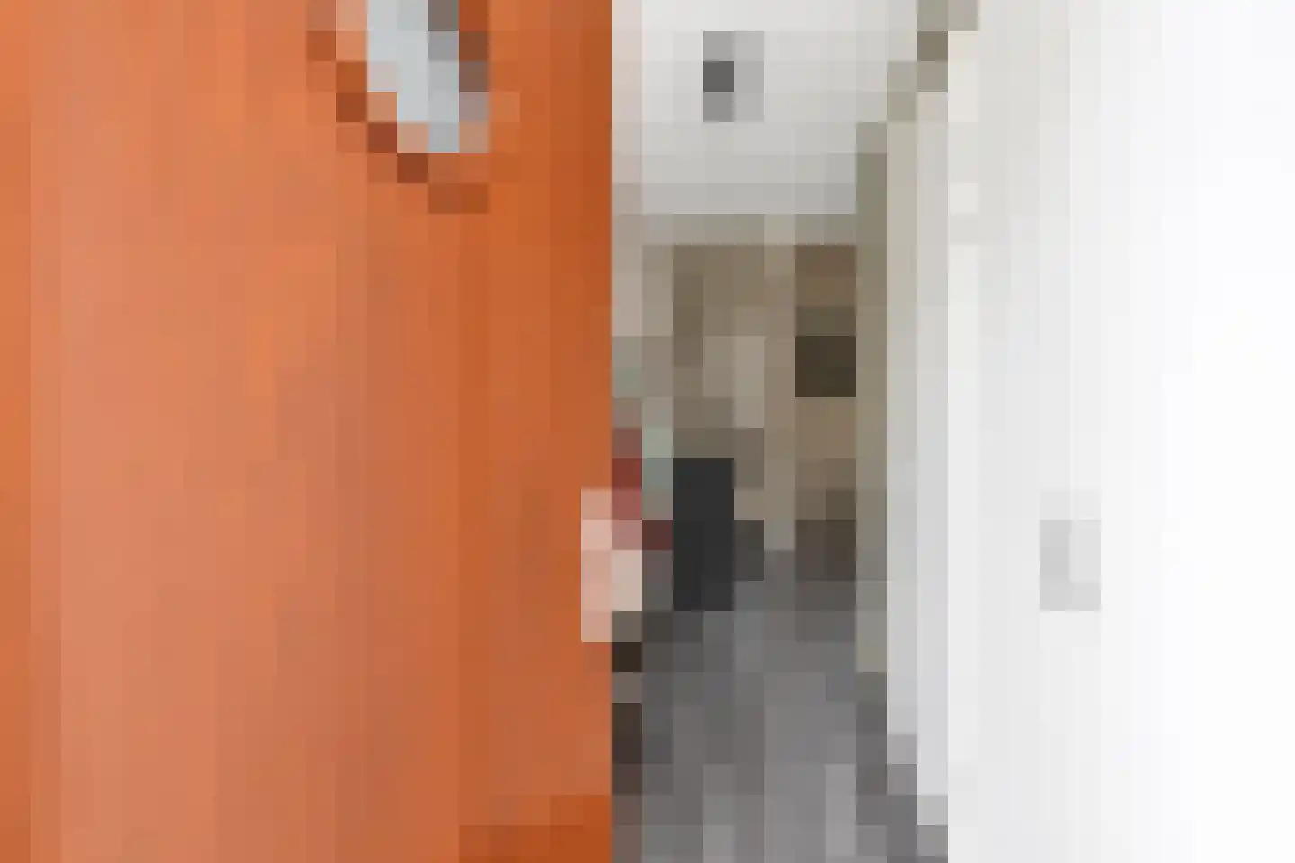 Streefkerkstraat 27 Zoetermeer thumbnail 9