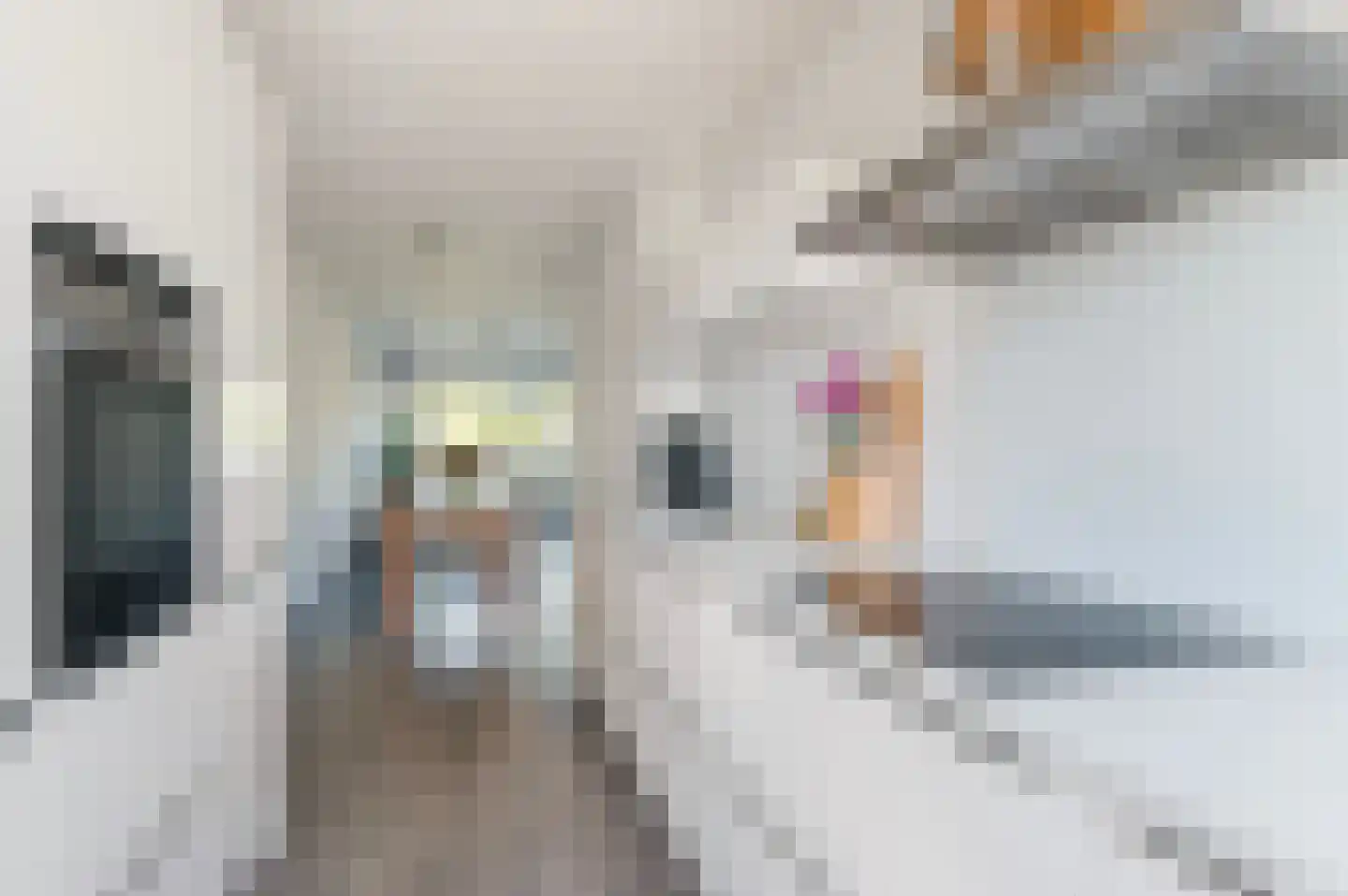 Streefkerkstraat 36 Amsterdam thumbnail 4
