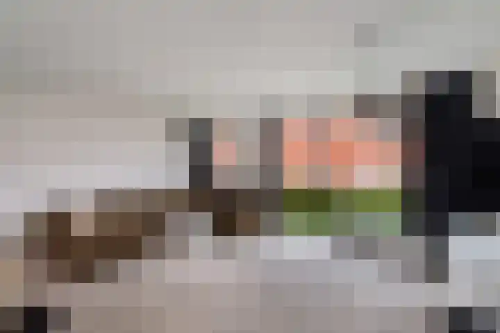 Streefkerkstraat 39 Zoetermeer thumbnail 17