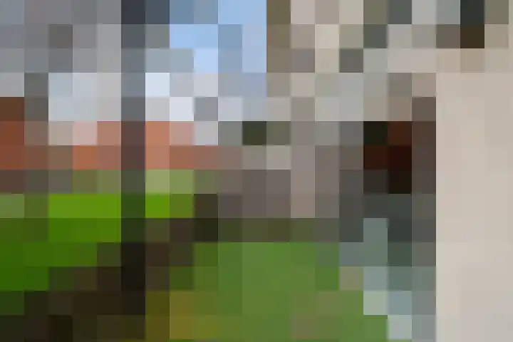 Streefkerkstraat 39 Zoetermeer thumbnail 19