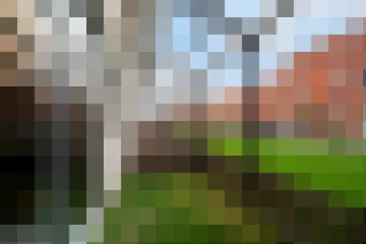 Streefkerkstraat 39 Zoetermeer thumbnail 20