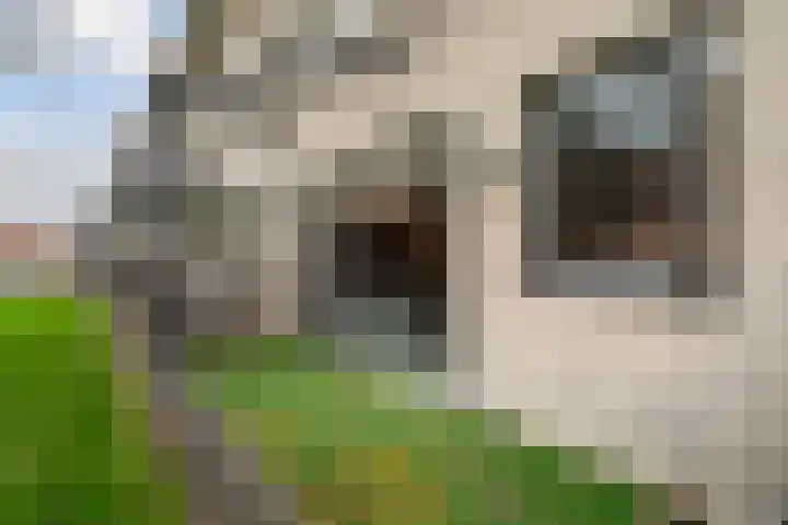 Streefkerkstraat 39 Zoetermeer thumbnail 21