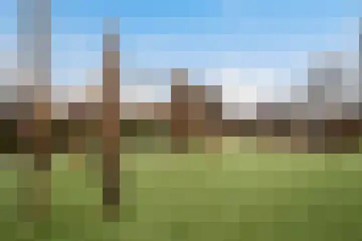 Streefkerkstraat 39 Zoetermeer thumbnail 33