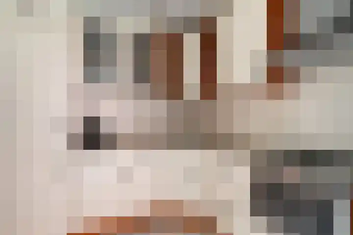 Streefkerkstraat 39 Zoetermeer thumbnail 4