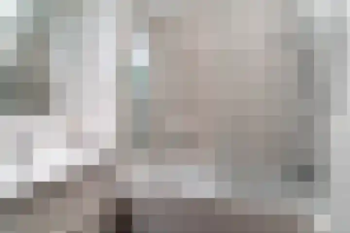 Streefkerkstraat 39 Zoetermeer thumbnail 5