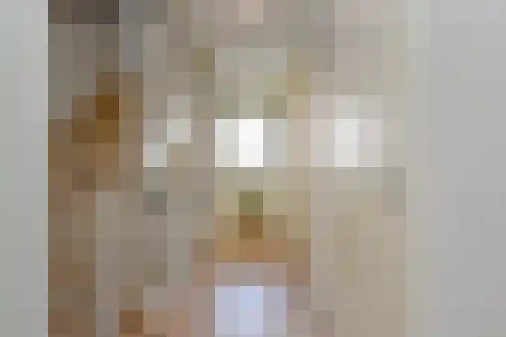 Streefkerkstraat 65 Zoetermeer thumbnail 35