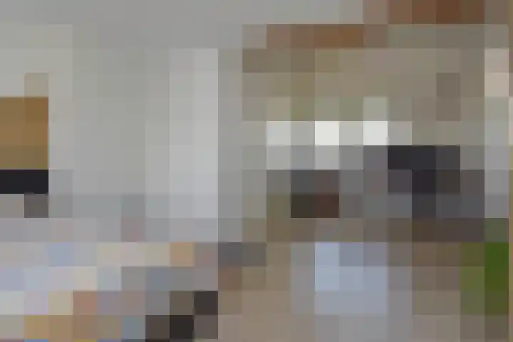 Streefkerkstraat 65 Zoetermeer thumbnail 37