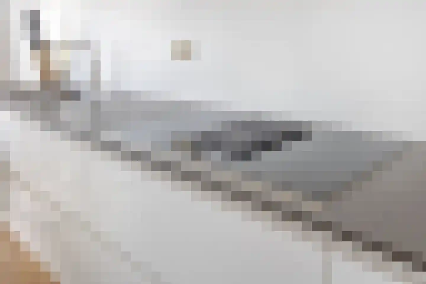 Streefkerkstraat 70 Zoetermeer thumbnail 13