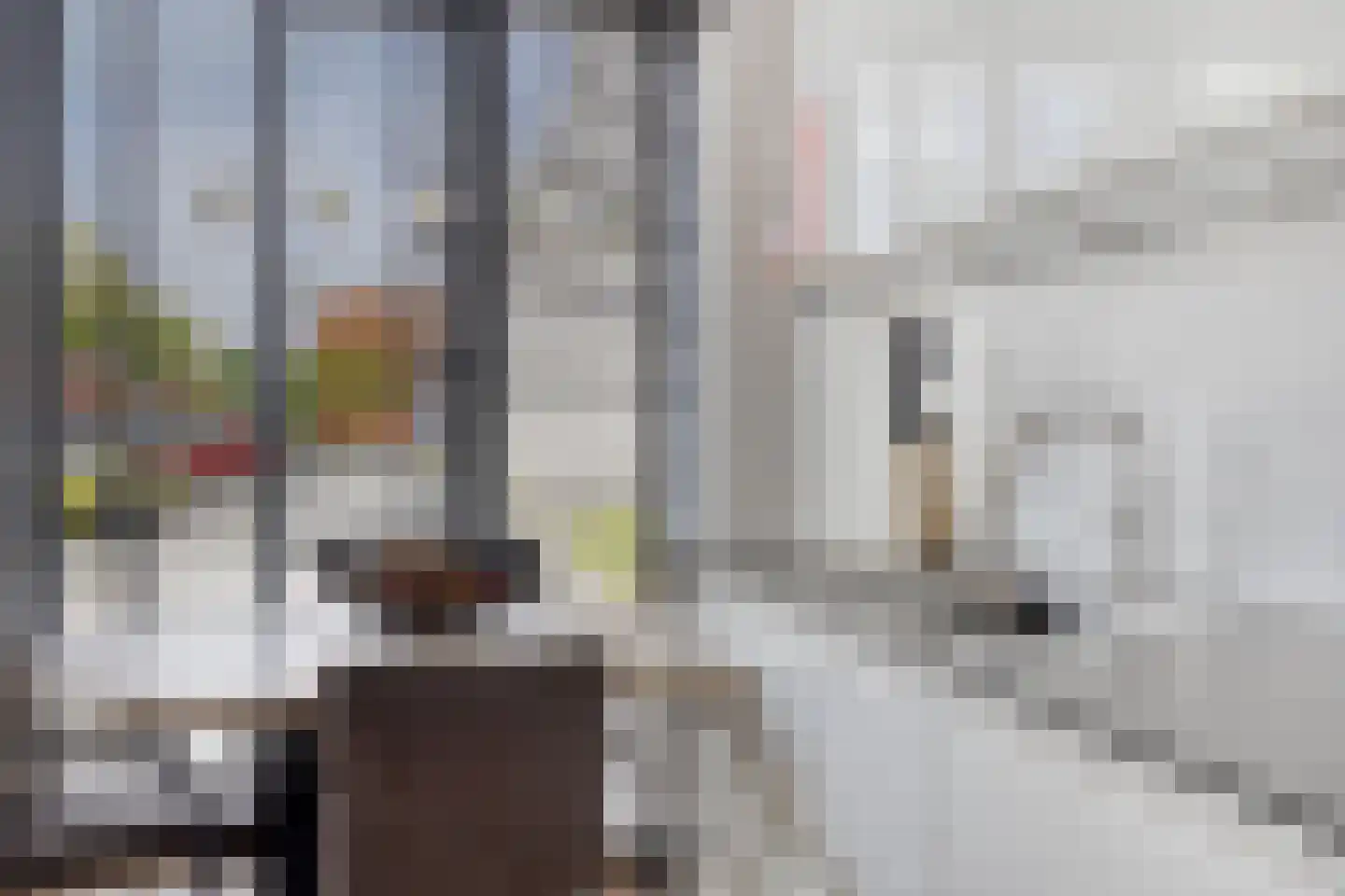 Streefkerkstraat 70 Zoetermeer thumbnail 16