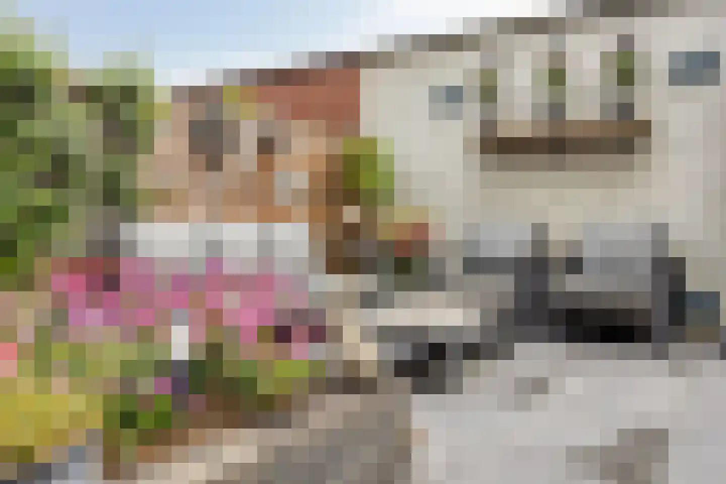 Streefkerkstraat 70 Zoetermeer thumbnail 17