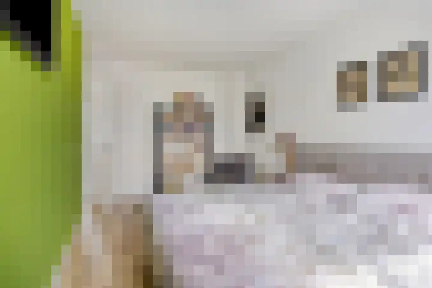 Streefkerkstraat 70 Zoetermeer thumbnail 22