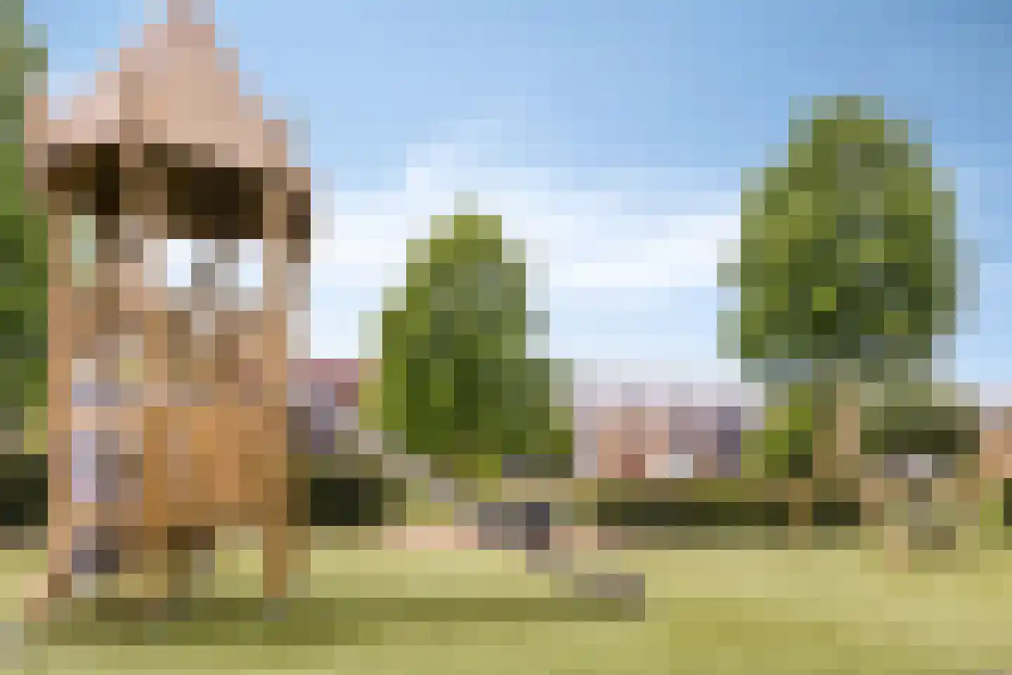 Streefkerkstraat 70 Zoetermeer thumbnail 48