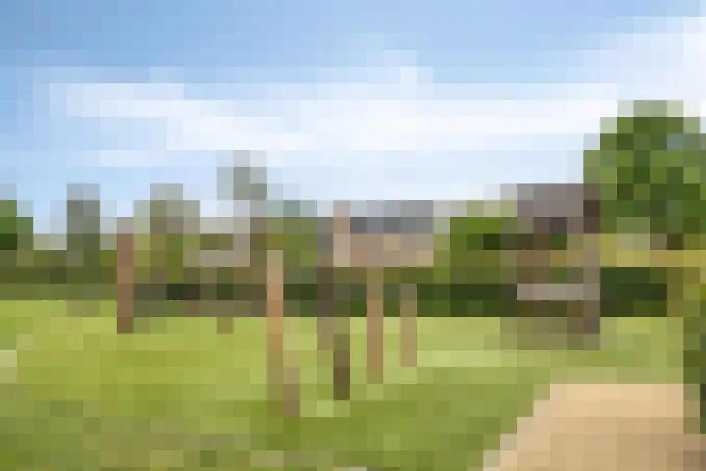 Streefkerkstraat 70 Zoetermeer thumbnail 50
