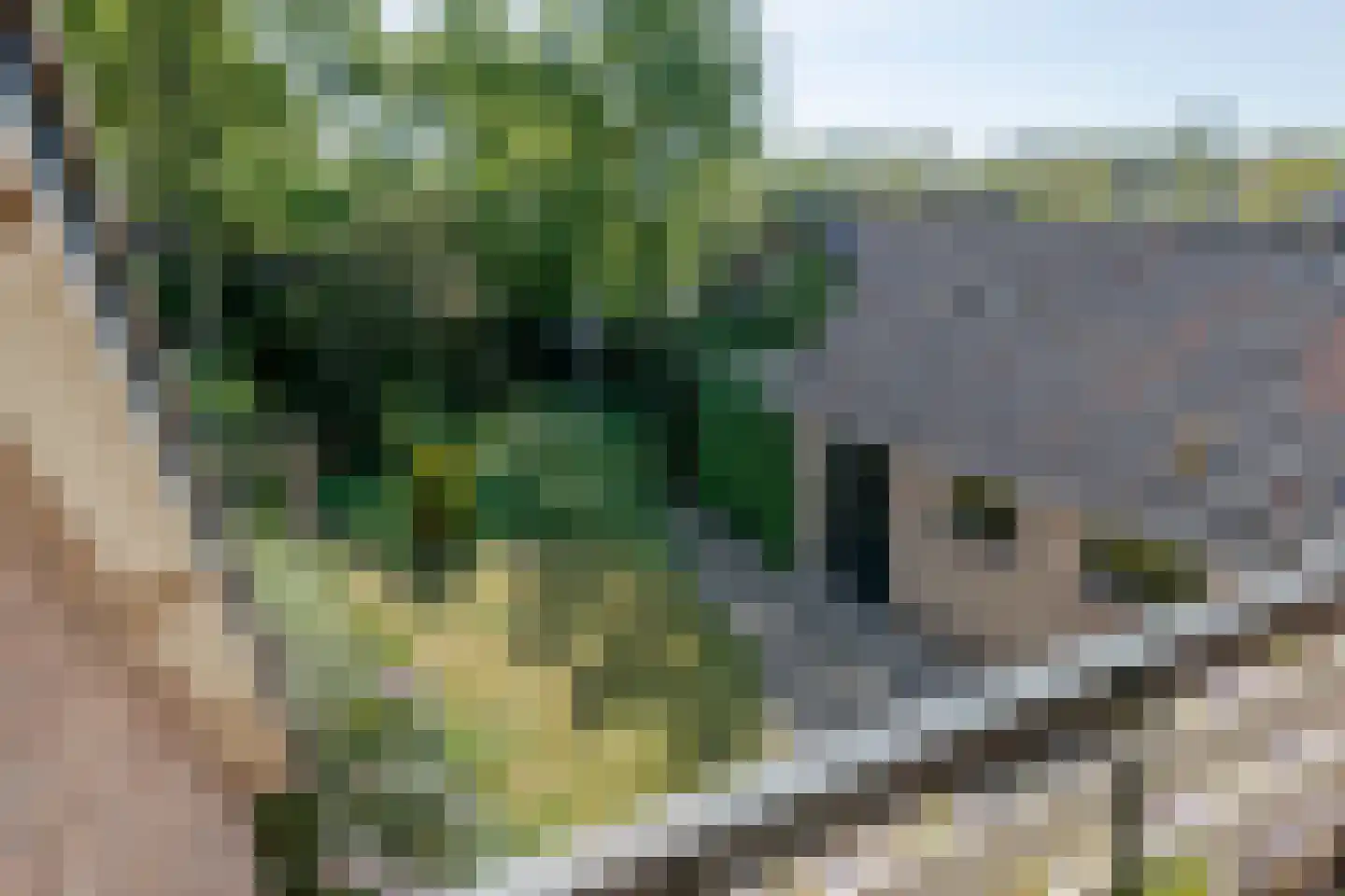 Streefoordlaan 32 Eemnes thumbnail 24