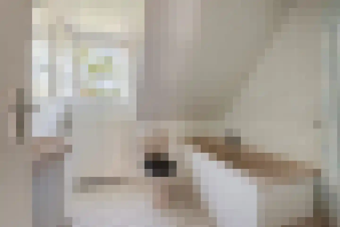 Streefoordlaan 32 Eemnes thumbnail 26