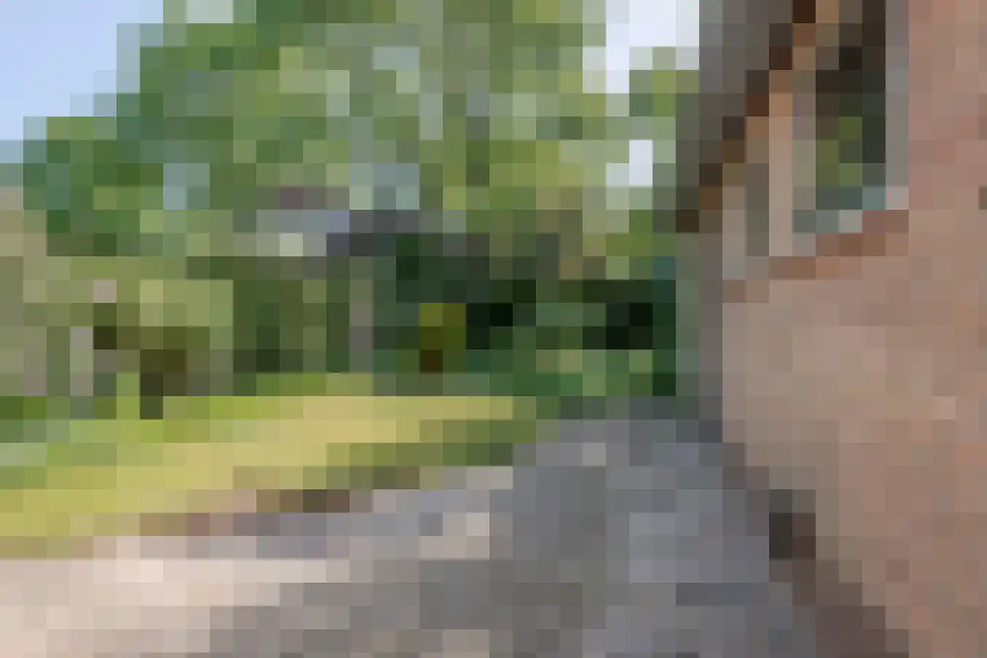 Streefoordlaan 32 Eemnes thumbnail 39