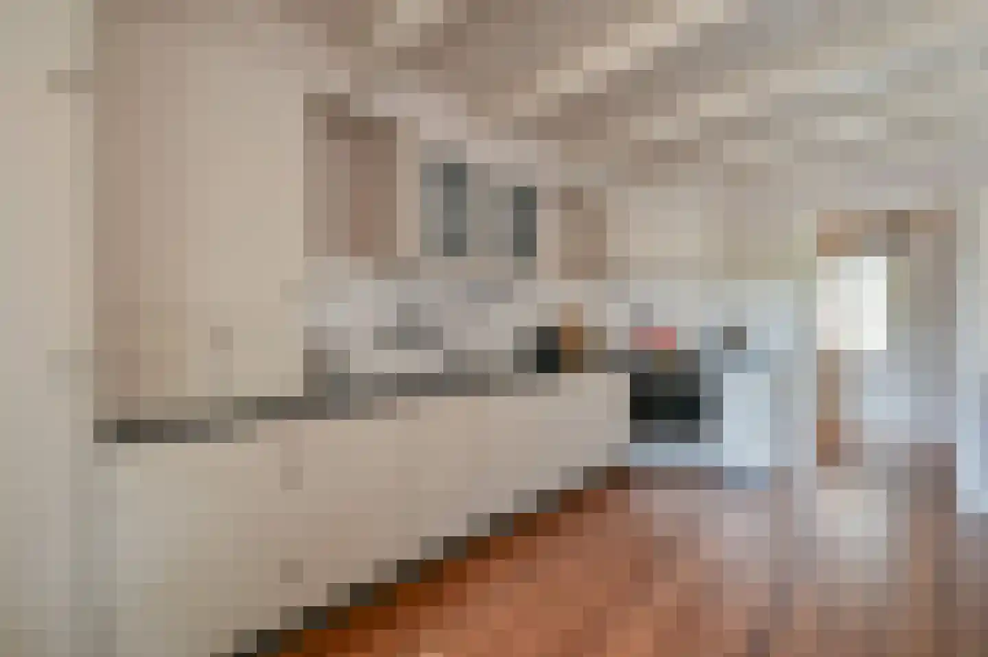 Streefoordlaan 8 Eemnes thumbnail 11