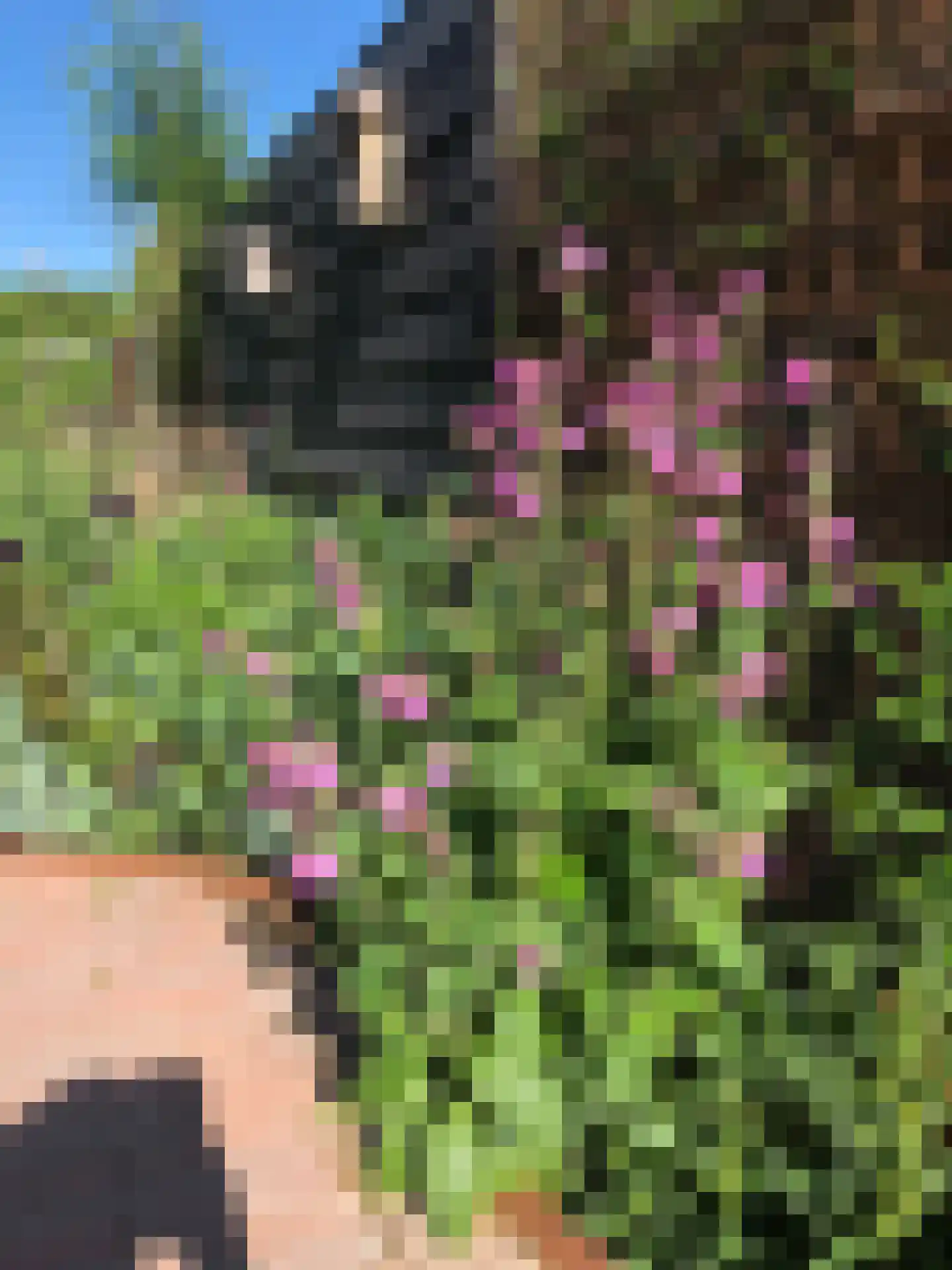 Streefoordlaan 8 Eemnes thumbnail 31