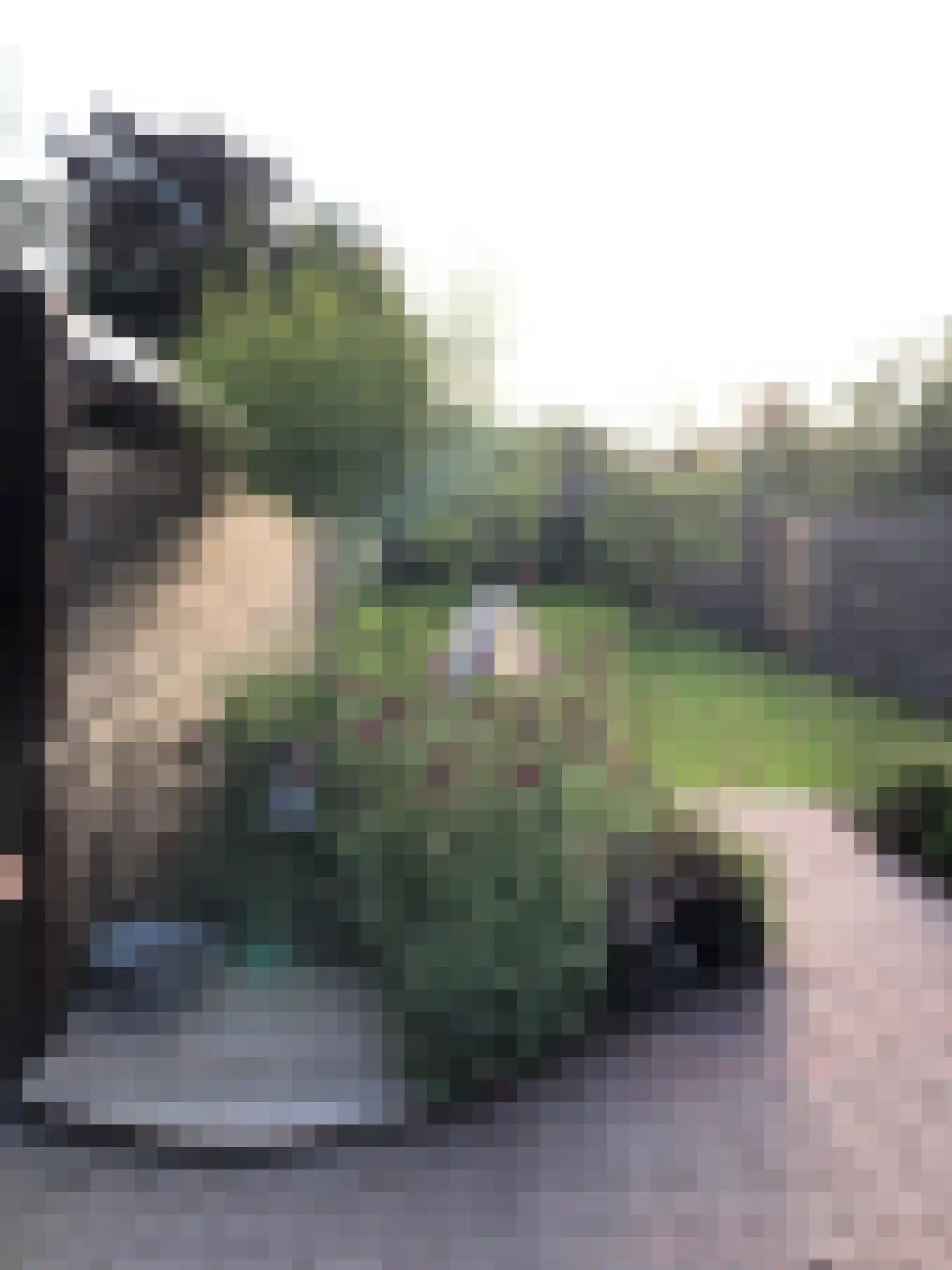 Streefoordlaan 8 Eemnes thumbnail 35