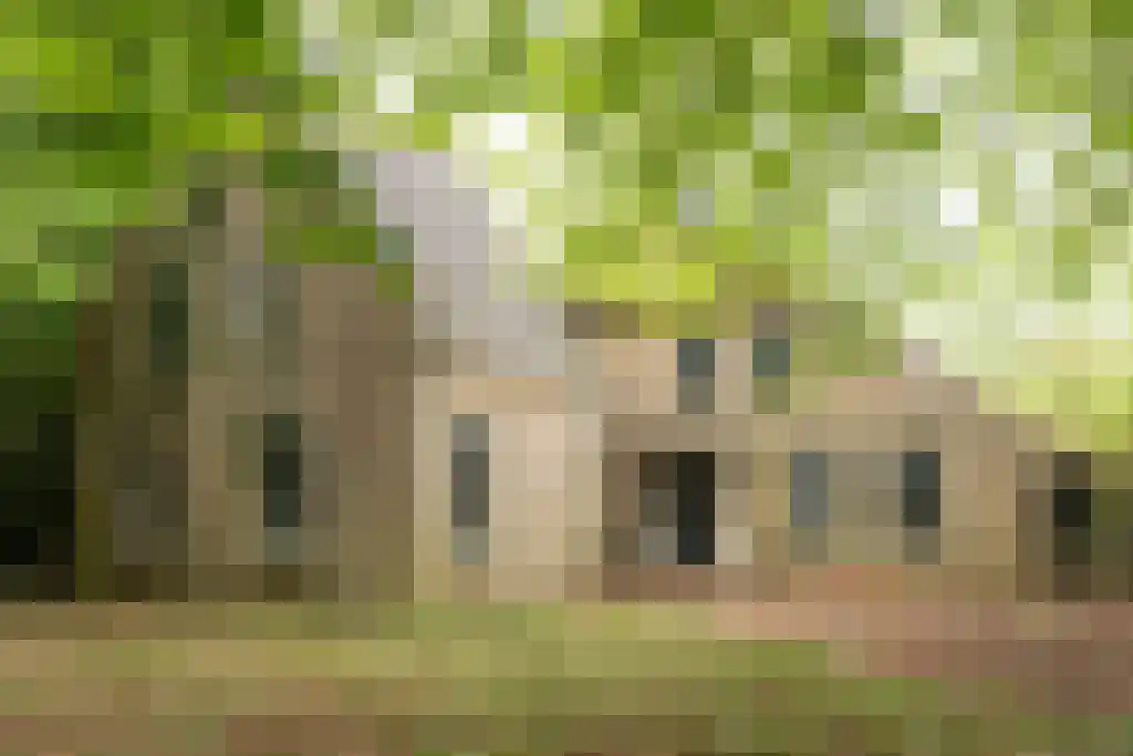 Streek 11 Sintjohannesga