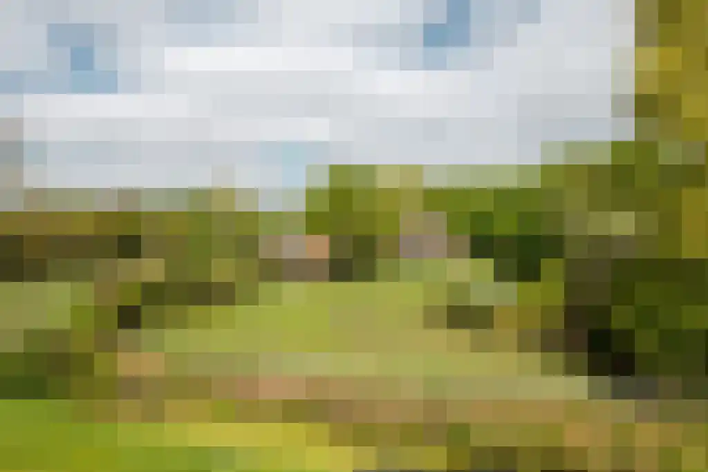 Streek 11 Sintjohannesga thumbnail 10