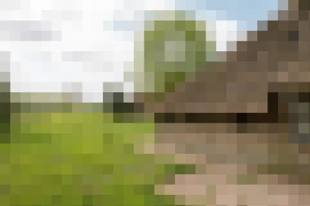 Streek 11 Sintjohannesga thumbnail 12