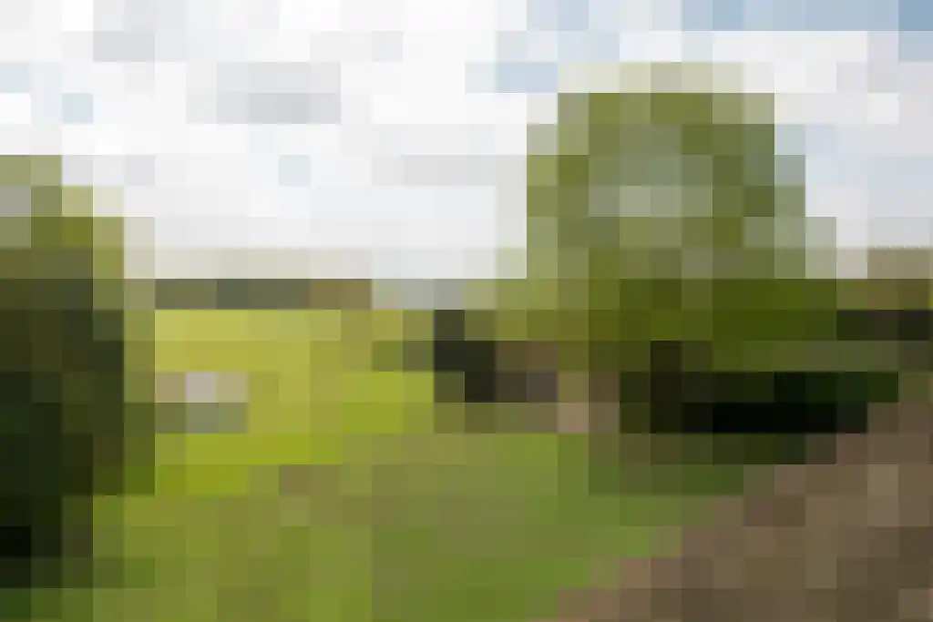 Streek 11 Sintjohannesga thumbnail 13
