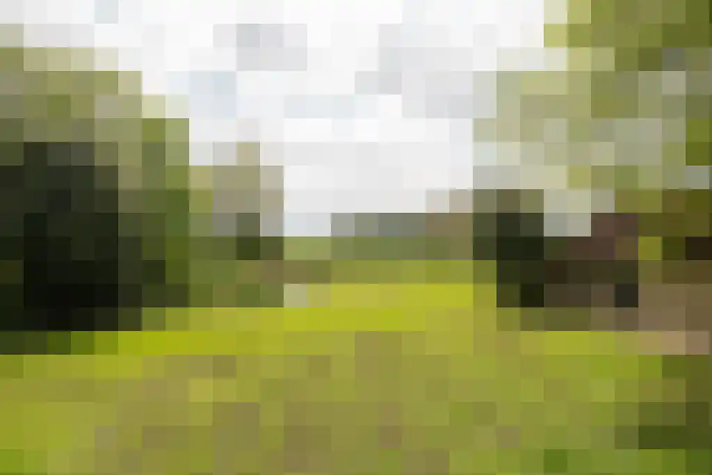Streek 11 Sintjohannesga thumbnail 14