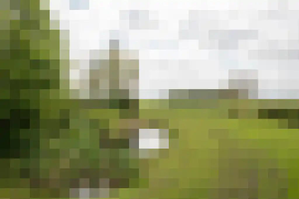 Streek 11 Sintjohannesga thumbnail 15