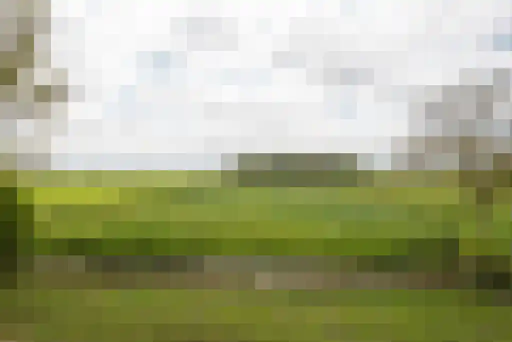 Streek 11 Sintjohannesga thumbnail 16