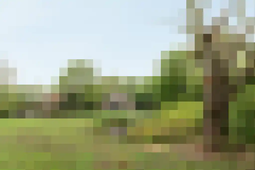 Streek 11 Sintjohannesga thumbnail 4