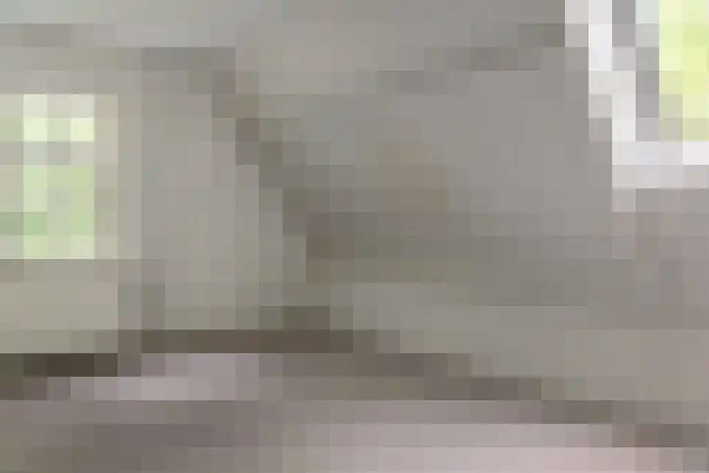 Streek 11 Sintjohannesga thumbnail 41