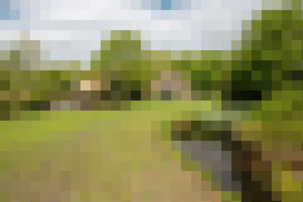 Streek 11 Sintjohannesga thumbnail 44