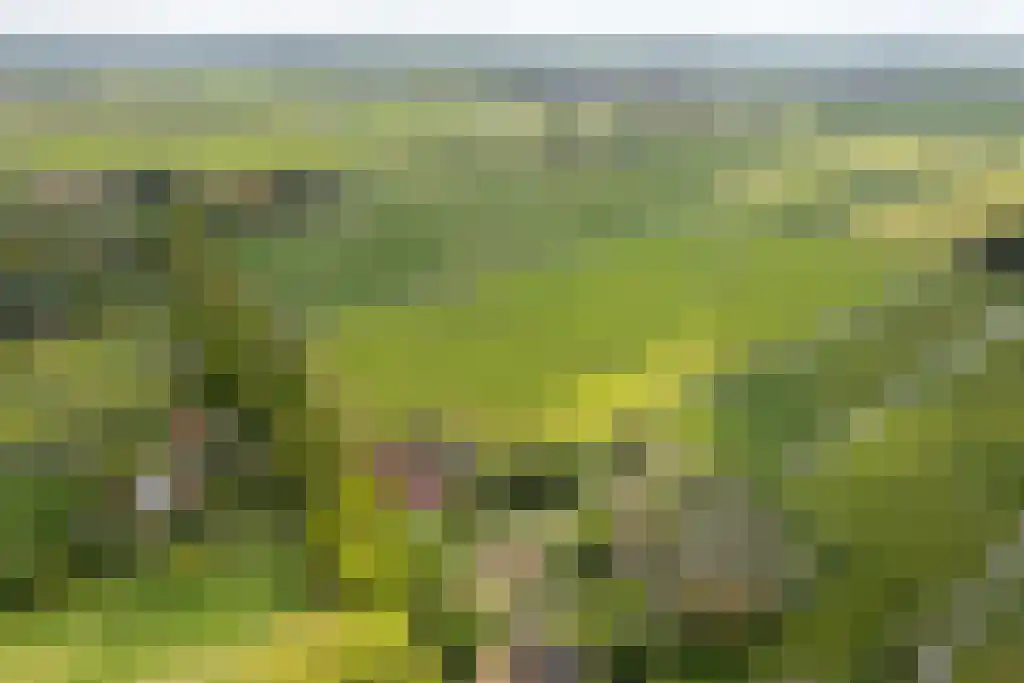 Streek 11 Sintjohannesga thumbnail 46