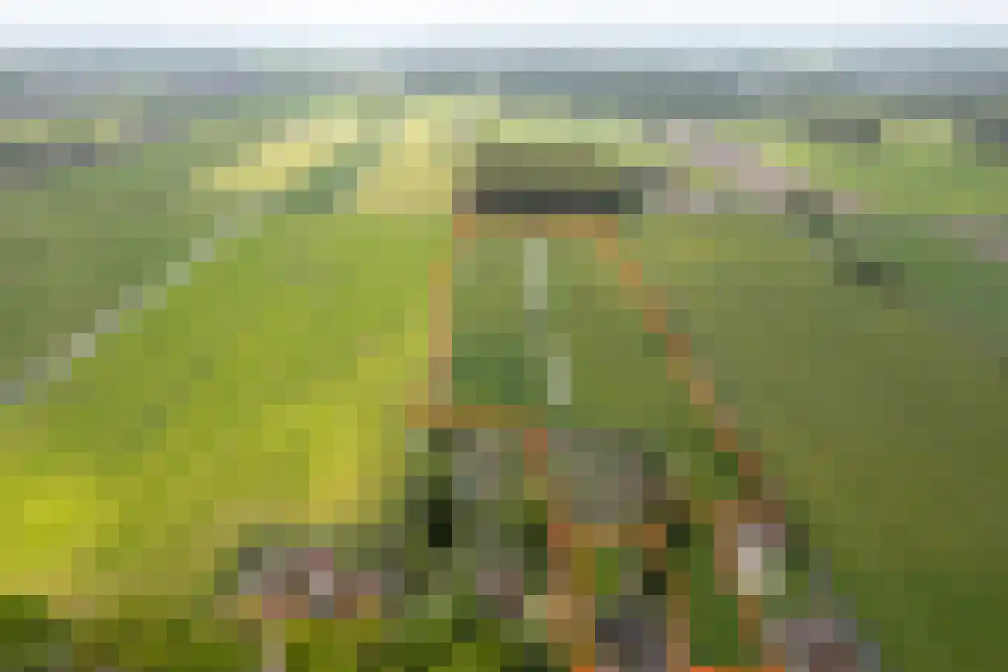 Streek 11 Sintjohannesga thumbnail 6