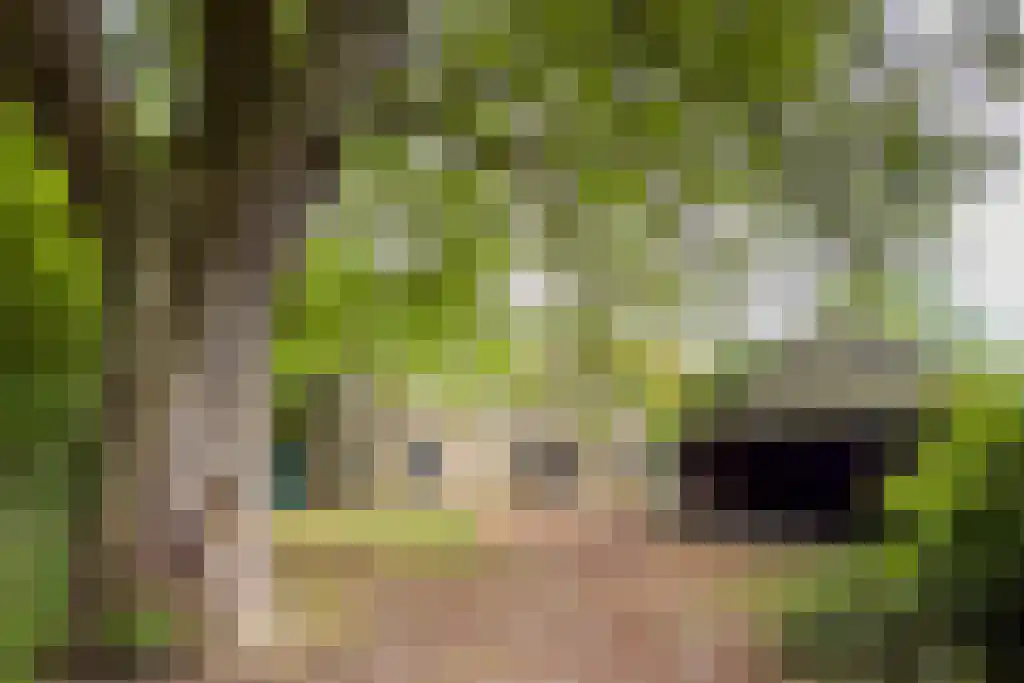 Streek 11 Sintjohannesga thumbnail 7