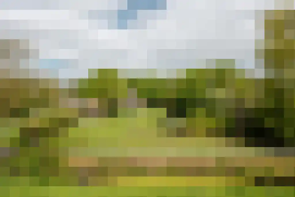 Streek 11 Sintjohannesga thumbnail 9
