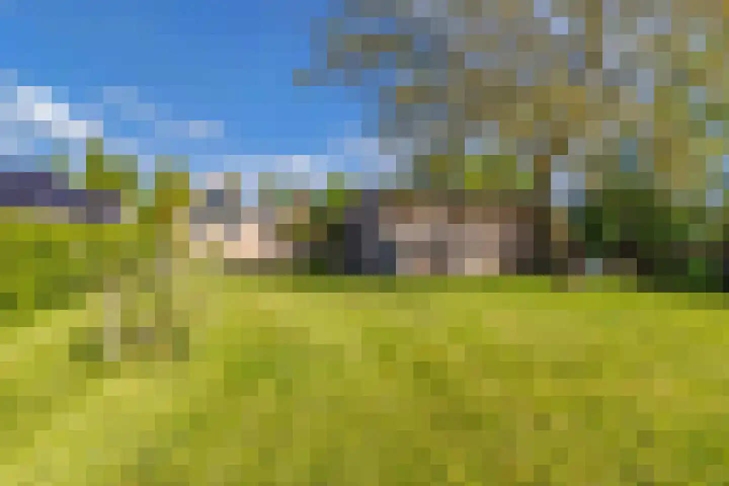 Streek 139 a Rotsterhaule thumbnail 74