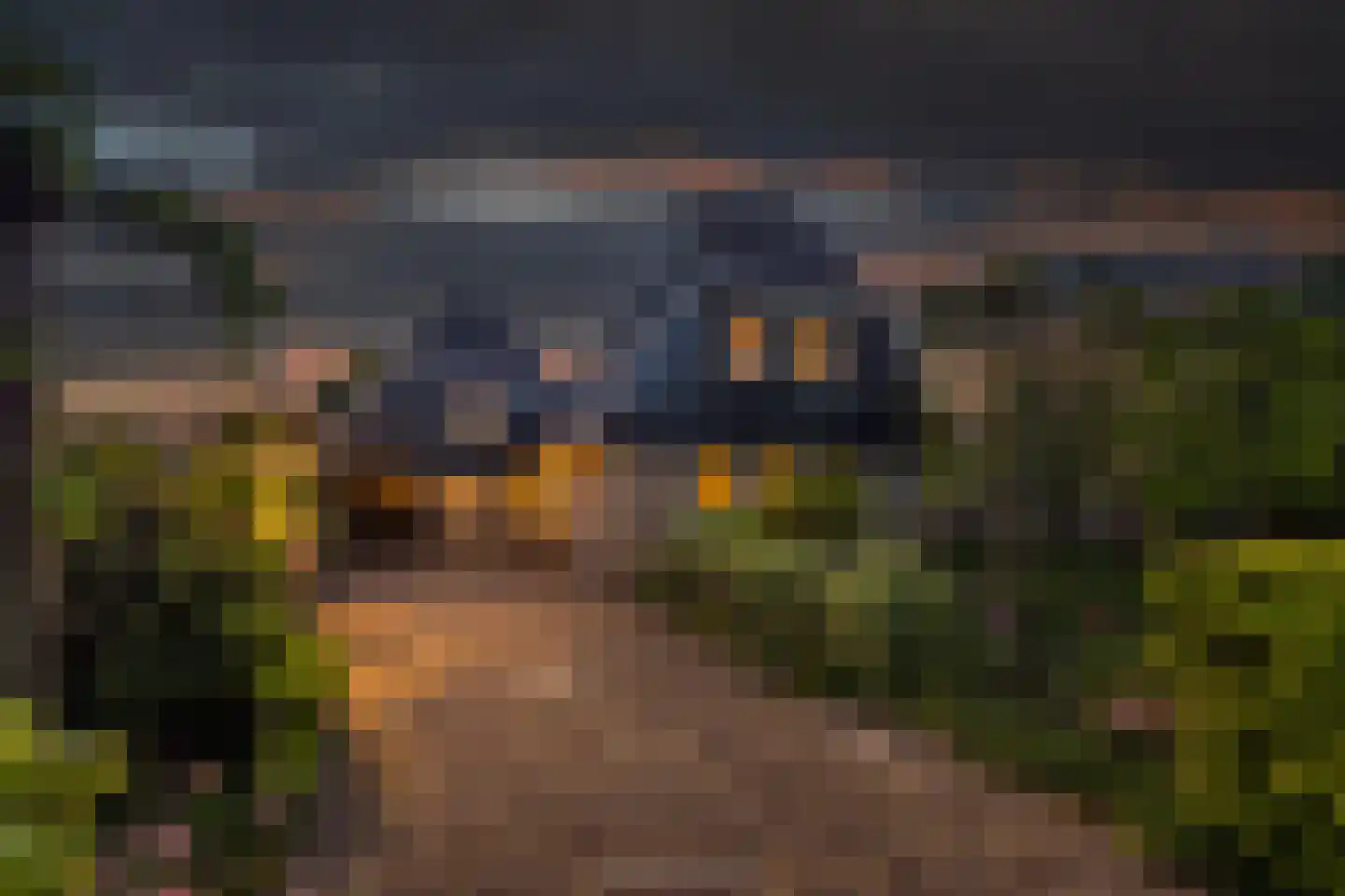 Streek 139 a Rotsterhaule thumbnail 81