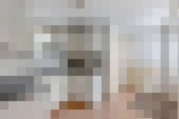 Streek 162 Rotsterhaule thumbnail 17