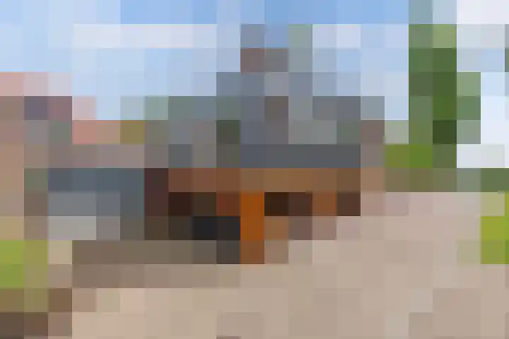 Streek 162 Rotsterhaule thumbnail 32