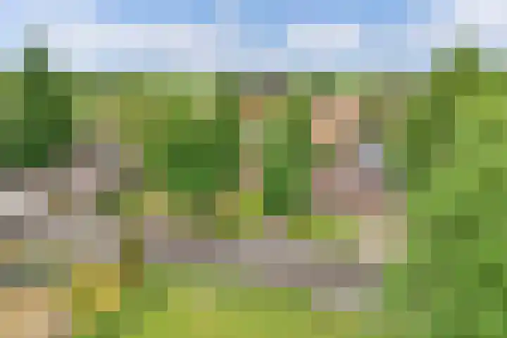 Streek 162 Rotsterhaule thumbnail 57