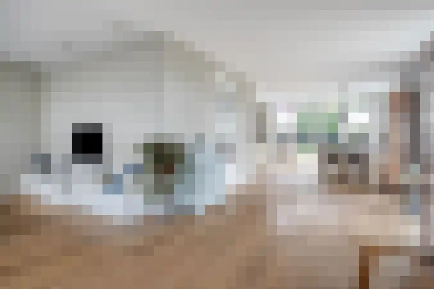Streek 19 Etten-Leur thumbnail 12