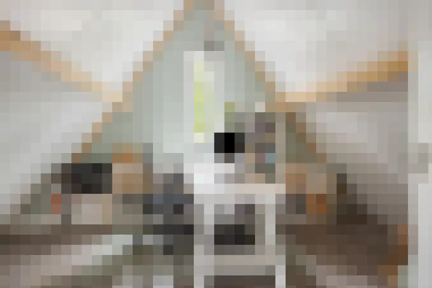Streek 19 Etten-Leur thumbnail 36